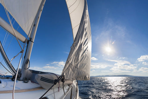 Cargo Sail Shipping: Why It Matters & What Mustela's Doing - Mustela USA - 1