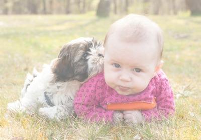 Babies And Family Pets: The Complete Parent Guide - Mustela USA - 1