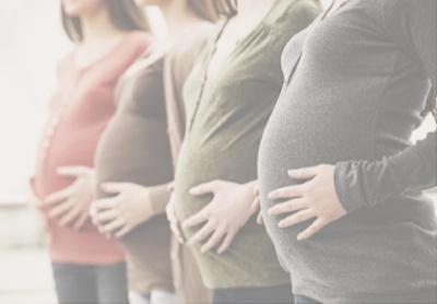 5fb65fc8eb8946e26a151597e9c14e4d_ffa49f92-8e5c-4599-a614-41ad7e708c4d - Mustela USA - 1