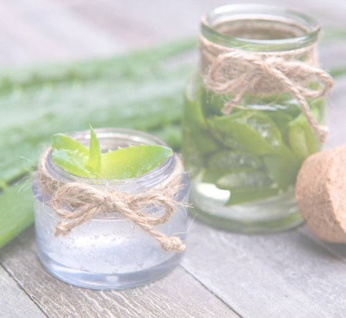 Aloe vera for skin - Mustela USA - 1