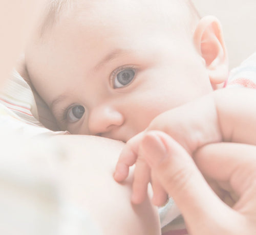 baby cluster feeding - Mustela USA - 1