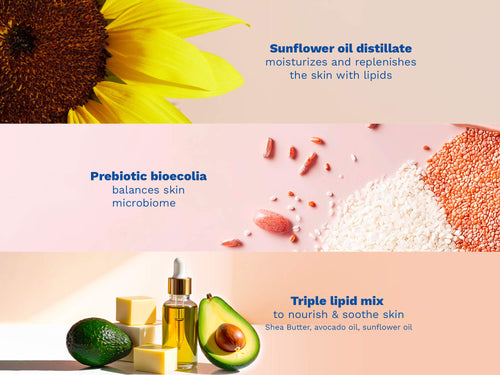 Sunflower, prebiotics, and lipid-rich ingredients used in the formula. - Mustela USA - 3