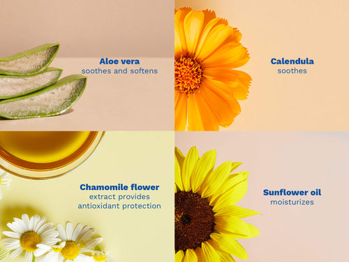 Mustela USA | Four key natural ingredients in Mustela sunscreen: Aloe vera (soothes and softens), Calendula (soothes), Chamomile flower extract (provides antioxidant protection), and Sunflower oil (moisturizes), each illustrated with a close-up photo. - Mustela USA - 5