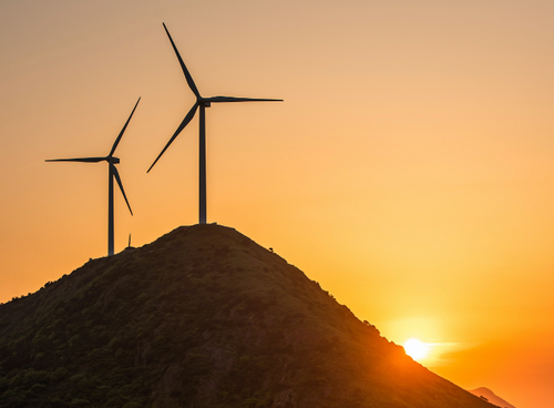 Capture_d_ecran_2024-06-06_a_21 - Mustela USA - 1