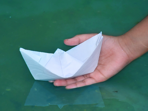 Capture_d_ecran_2024-06-06_a_21 - Mustela USA - 1