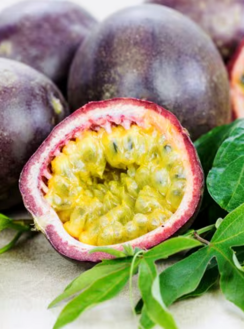 Capture_d_ecran_2024-06-06_a_22 - Mustela USA - 1