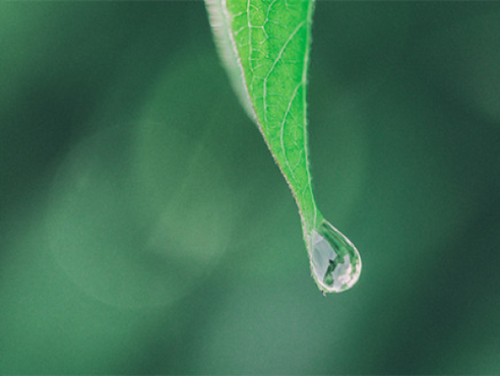 Rectangle_6 - Mustela USA - 1