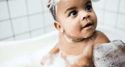 Mustela USA - Mustela USA - 1