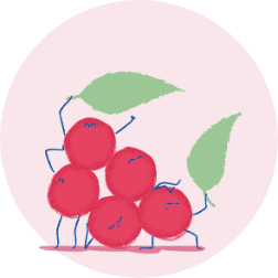 image_6 - Mustela USA - 1