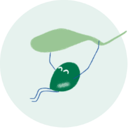 image_7_f12a8075-8272-44ea-89a2-14dca2a52abb - Mustela USA - 1