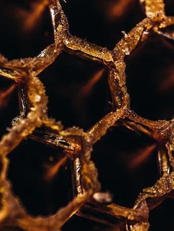 slider_2-min - Mustela USA - 1