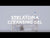 Video on how to use Stelatopia Cleansing Gel 
